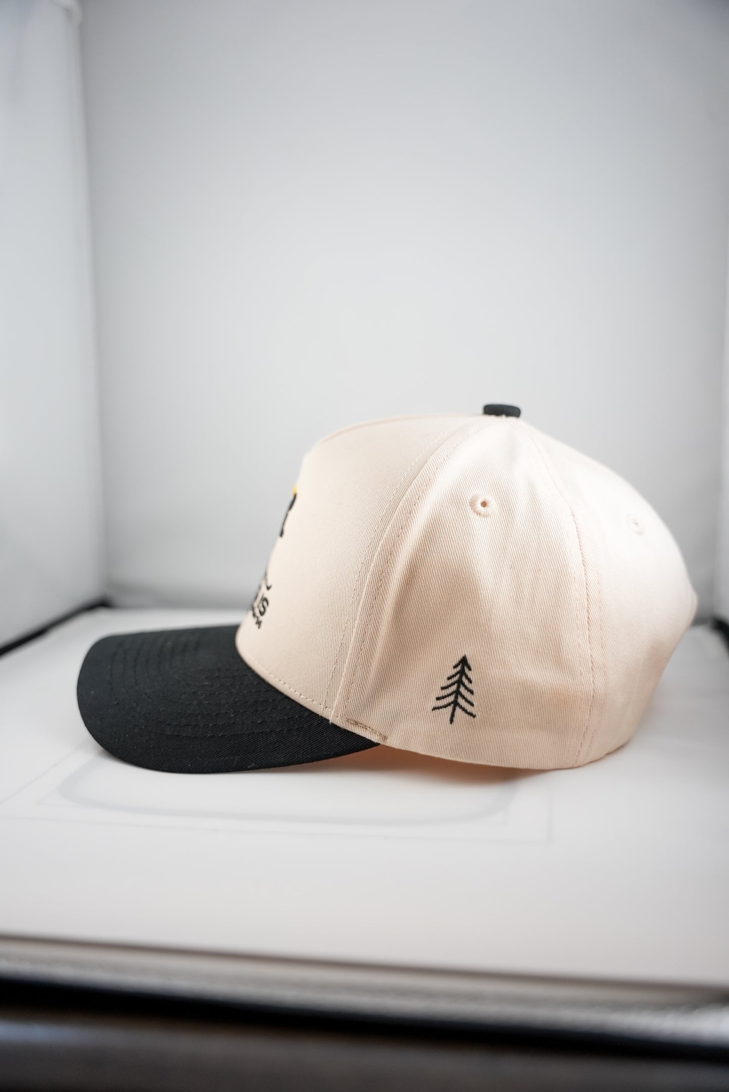 "SKIING IS EASY" ASPEN '96 HAT |(BLACK/CREAM)