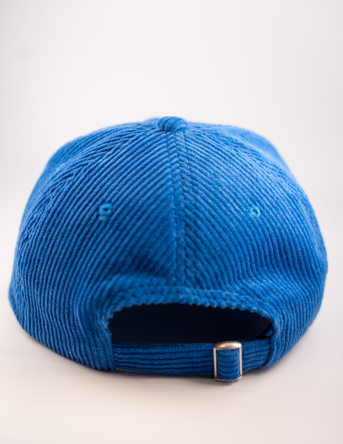 "MORE SICK DAYS" | CORD HAT (Blue)