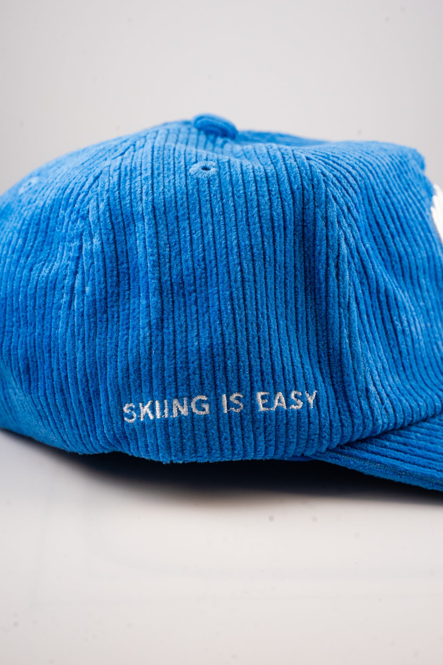 "MORE SICK DAYS" | CORD HAT (Blue)